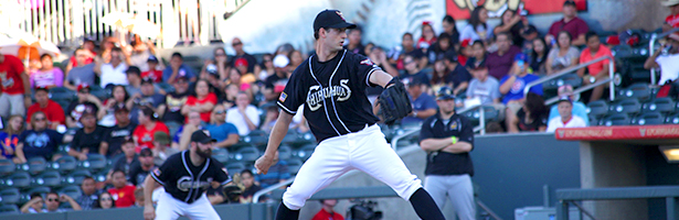 Chihuahuas Player Pitching